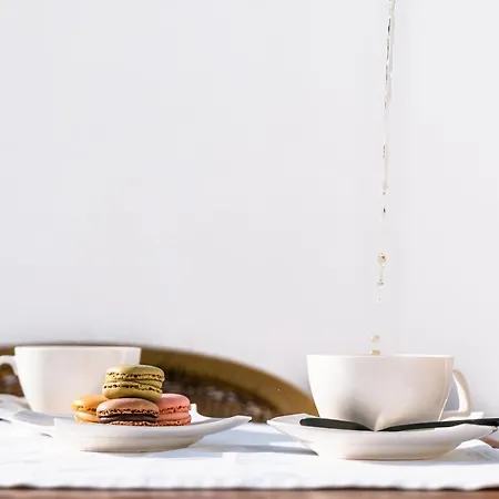 Duplex 8 Canos Ronda