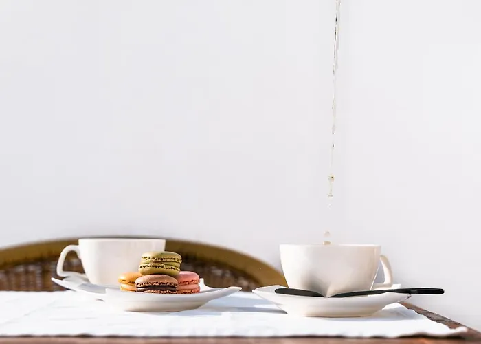 Duplex 8 Canos Ronda