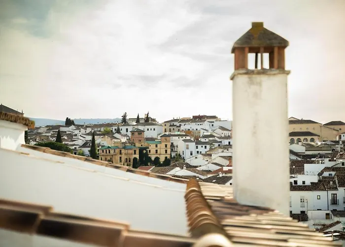 Duplex 8 Canos * 龙达